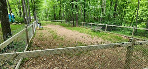 Dog Park 